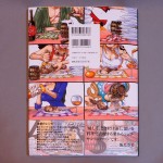 Sanji's recipe book back